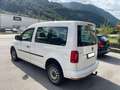Volkswagen Caddy 2.0 TDI 122 CV 4motion + GANCIO Bianco - thumbnail 4