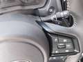 Subaru Forester e-boxer 2.0i-L Eu Style Xtra Grau - thumbnail 15