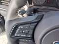Subaru Forester e-boxer 2.0i-L Eu Style Xtra Grau - thumbnail 14
