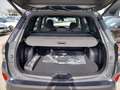 Subaru Forester e-boxer 2.0i-L Eu Style Xtra Grau - thumbnail 23
