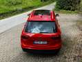 Volkswagen Tiguan Tiguan 1.4 TSI ACT (BlueMotion Technology) Sound Portocaliu - thumbnail 5