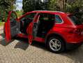 Volkswagen Tiguan Tiguan 1.4 TSI ACT (BlueMotion Technology) Sound Narancs - thumbnail 7