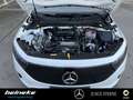 Mercedes-Benz EQA 250 EQA 250 Progressive Adv. LED Totwink. Winter RFK Weiß - thumbnail 19