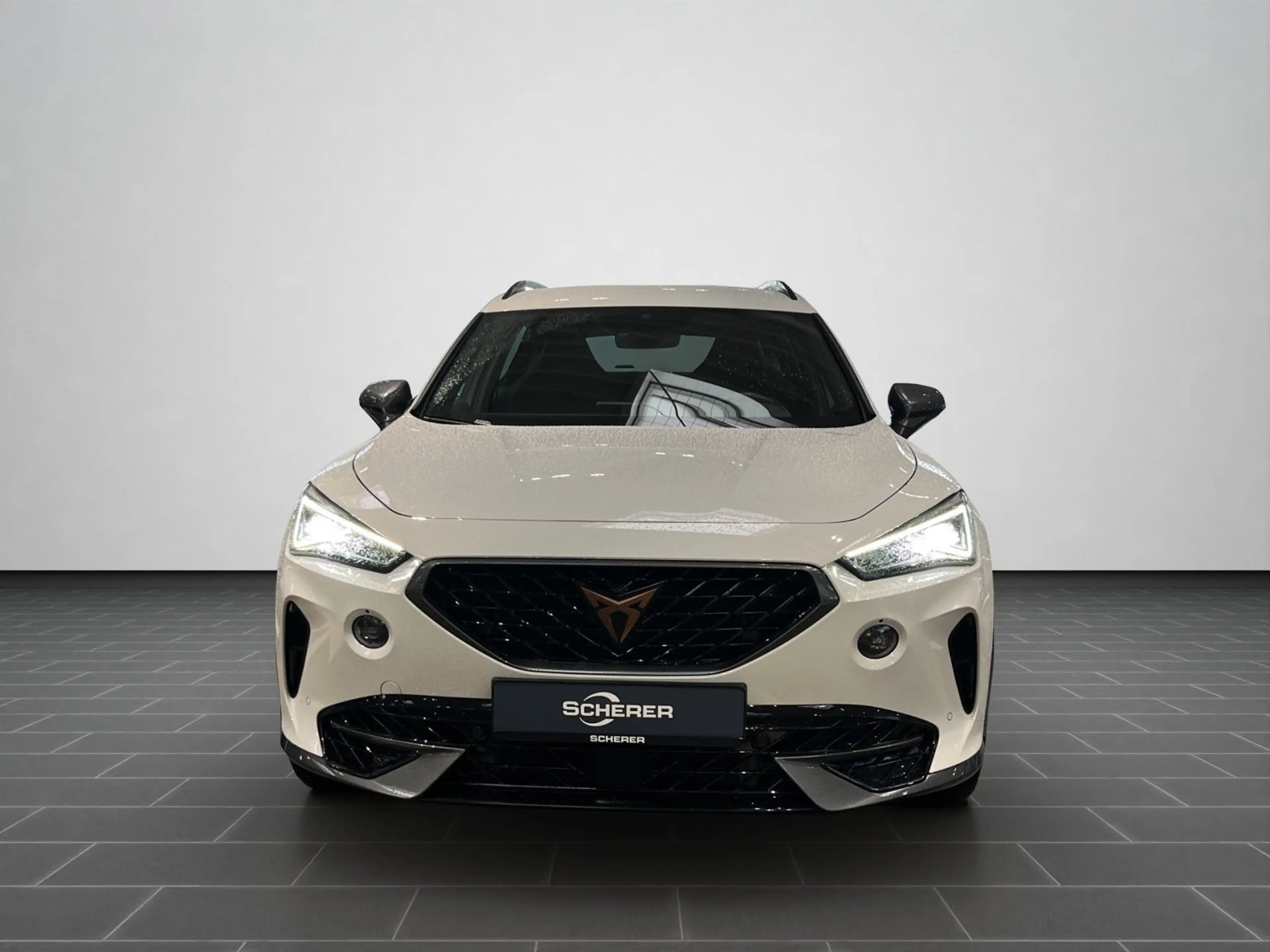 CUPRA Formentor VZ 2.0 TSI — photo 5