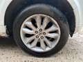 Land Rover Freelander II 2.2 TD4 150cv BVA 1ère Main Blanc - thumbnail 15
