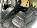 Land Rover Freelander II 2.2 TD4 150cv BVA 1ère Main Blanc - thumbnail 11