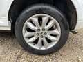 Land Rover Freelander II 2.2 TD4 150cv BVA 1ère Main Blanc - thumbnail 17