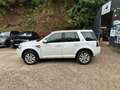 Land Rover Freelander II 2.2 TD4 150cv BVA 1ère Main Blanc - thumbnail 4