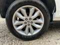 Land Rover Freelander II 2.2 TD4 150cv BVA 1ère Main Blanc - thumbnail 16
