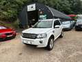 Land Rover Freelander II 2.2 TD4 150cv BVA 1ère Main Blanc - thumbnail 1