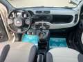 Fiat Panda Panda III 2012 1.2 Easy 69cv Beige - thumbnail 11