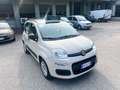 Fiat Panda Panda III 2012 1.2 Easy 69cv Beige - thumbnail 4