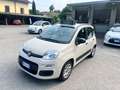 Fiat Panda Panda III 2012 1.2 Easy 69cv Beige - thumbnail 10