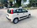Fiat Panda Panda III 2012 1.2 Easy 69cv Beige - thumbnail 5