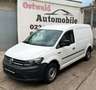 Volkswagen Caddy Maxi 1.4 Kasten BMT CNG GAS Weiß - thumbnail 1