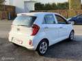 Kia Picanto 1.0 CVVT ISG Airco 5drs nw apk 1ste eign Wit - thumbnail 5
