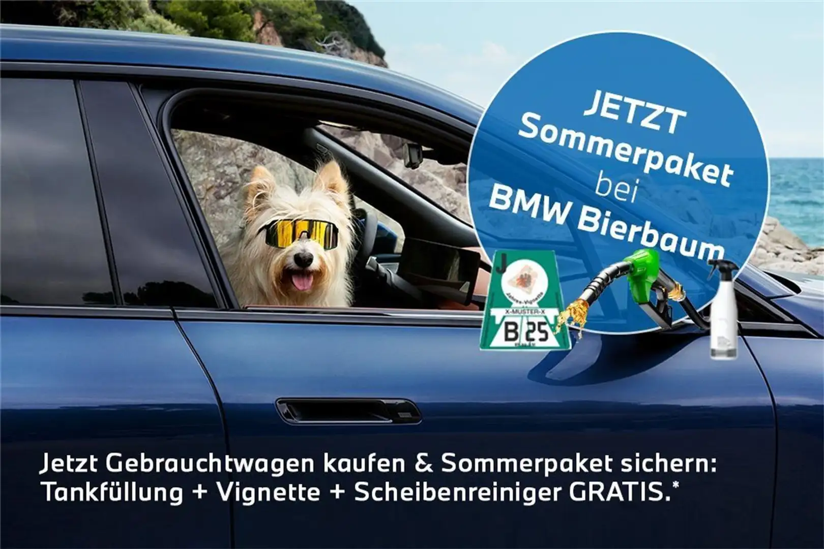 BMW 520 d Bleu - 2