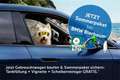 BMW 520 d Bleu - thumbnail 2