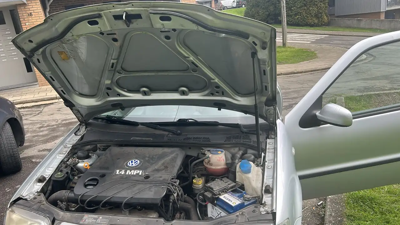 Volkswagen polo, foto 2