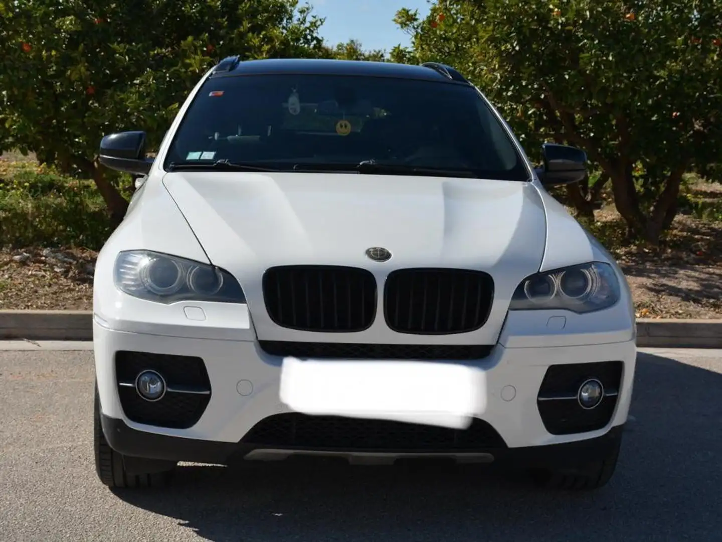 BMW X6 xDrive 35dA Blanco - 2