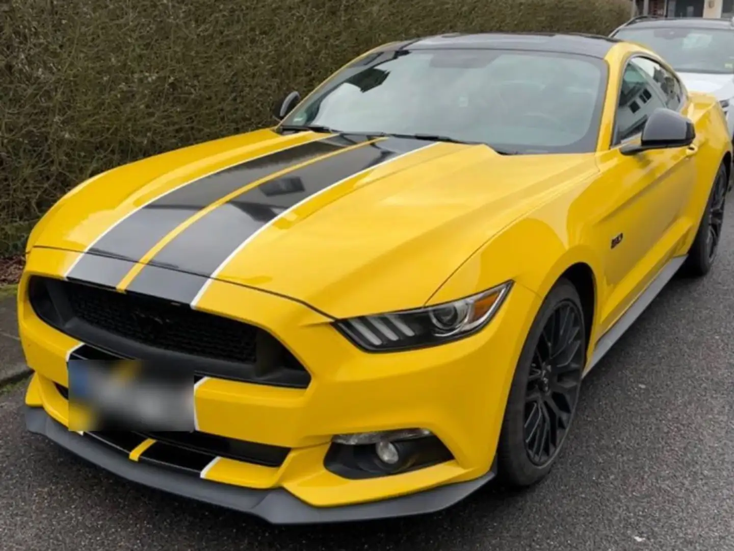 Ford Mustang Mustang 5.0 Ti-VCT V8 Aut. GT Jaune - 1