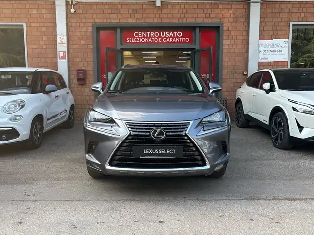 Lexus NX 300 Hybrid Premium 4WD MY22