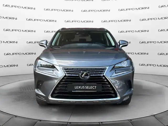 Lexus NX 300 Hybrid Premium 4WD MY22