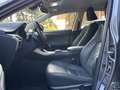 Lexus NX 300 Hybrid Premium 4WD MY22 Gris - thumbnail 8