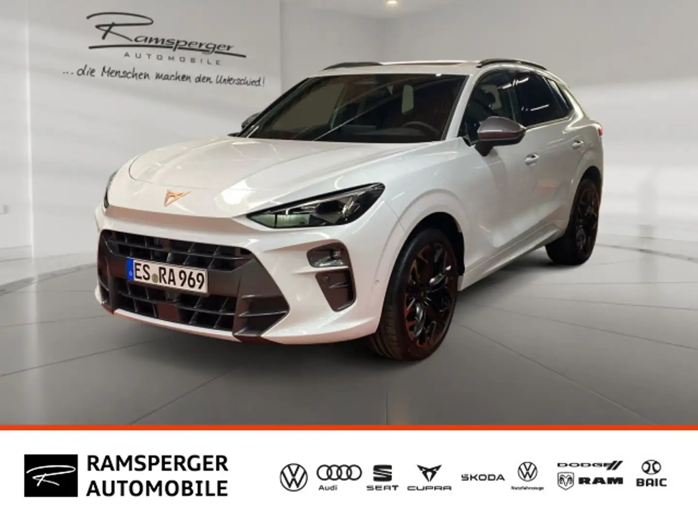 CUPRA Terramar VZ 2.0 TSI Matrix/Headup/AHK/Assist/uvm Weiß - 1