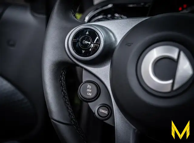 smart Fortwo view 12