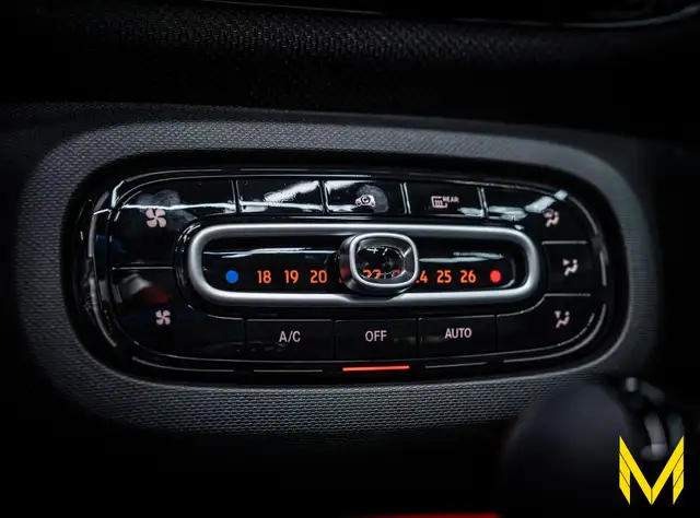 smart Fortwo view 15