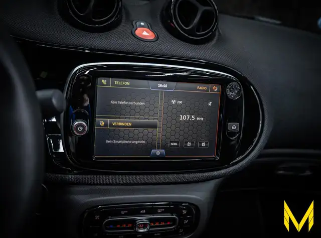 smart Fortwo view 14
