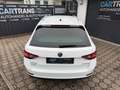 Skoda Superb Laurin&Klement + LEDER +LED +NAVI + 0%FINANZIERUNG Blanco - thumbnail 5