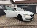 Skoda Superb Laurin&Klement + LEDER +LED +NAVI + 0%FINANZIERUNG Blanco - thumbnail 3