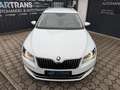 Skoda Superb Laurin&Klement + LEDER +LED +NAVI + 0%FINANZIERUNG Blanco - thumbnail 8