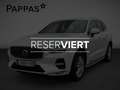 Volvo XC60 XC 60 B4 (Diesel) Mild Hybr. Ultimate Bri Weiß - thumbnail 1