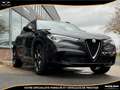 Alfa Romeo Stelvio Stelvio 2.9 V6 - 510 - BVA 2019  Quadrifoglio Q4 P Noir - thumbnail 37