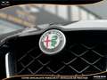 Alfa Romeo Stelvio Stelvio 2.9 V6 - 510 - BVA 2019  Quadrifoglio Q4 P Noir - thumbnail 19