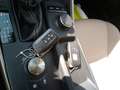 Lexus IS 300 300h Executive Parking Albastru - thumbnail 13