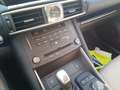 Lexus IS 300 300h Executive Parking Albastru - thumbnail 11