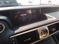 Lexus IS 300 300h Executive Parking Albastru - thumbnail 9