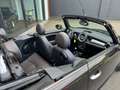 MINI Cooper Cabrio 1.6 Cooper Highgate,Leer,Carplay,Clima,Cruise,Stoe Braun - thumbnail 49