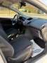 Ford Fiesta Fiesta 1.2 60CV 5 porte Blanc - thumbnail 16
