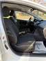 Ford Fiesta Fiesta 1.2 60CV 5 porte Blanc - thumbnail 15