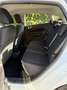 Ford Fiesta Fiesta 1.2 60CV 5 porte Blanc - thumbnail 17