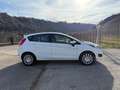 Ford Fiesta Fiesta 1.2 60CV 5 porte Blanc - thumbnail 7