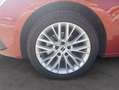 SEAT Leon 1.5 eTSI S&S Xcellence DSG-7 150 Rojo - thumbnail 14