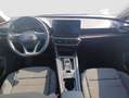 SEAT Leon 1.5 eTSI S&S Xcellence DSG-7 150 Rojo - thumbnail 10