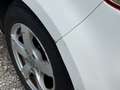 Volkswagen Golf Trendline*NUR AN EXPORT Weiß - thumbnail 30