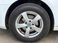 Volkswagen Golf Trendline*NUR AN EXPORT Weiß - thumbnail 9
